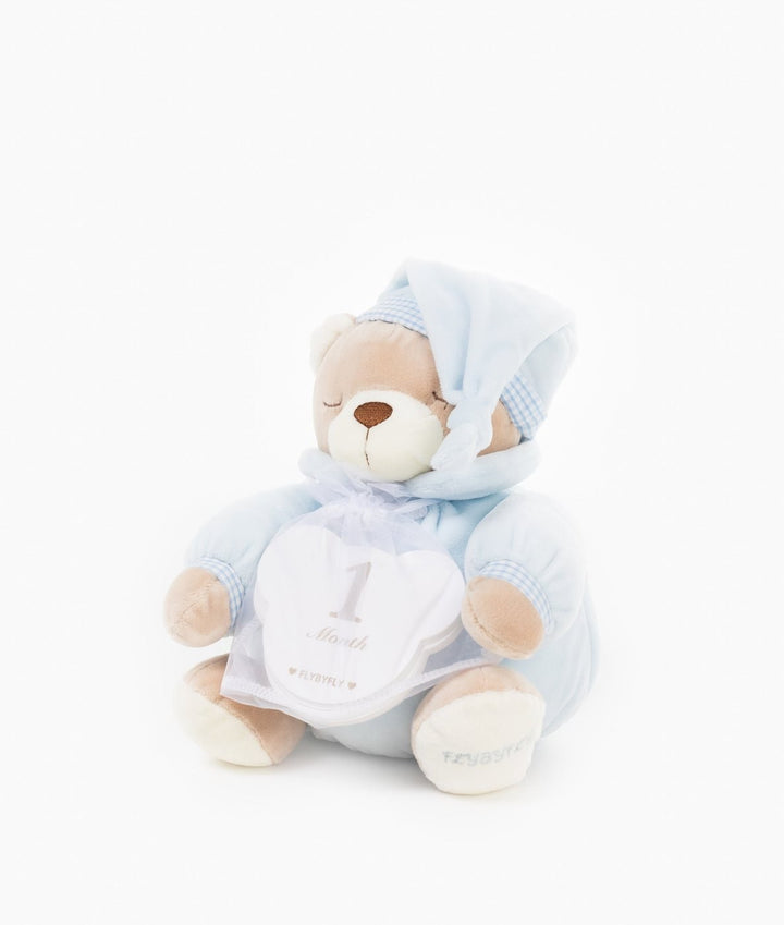 Blue plush teddy bear in gingham-trimmed onesie holding '1 Month' milestone card