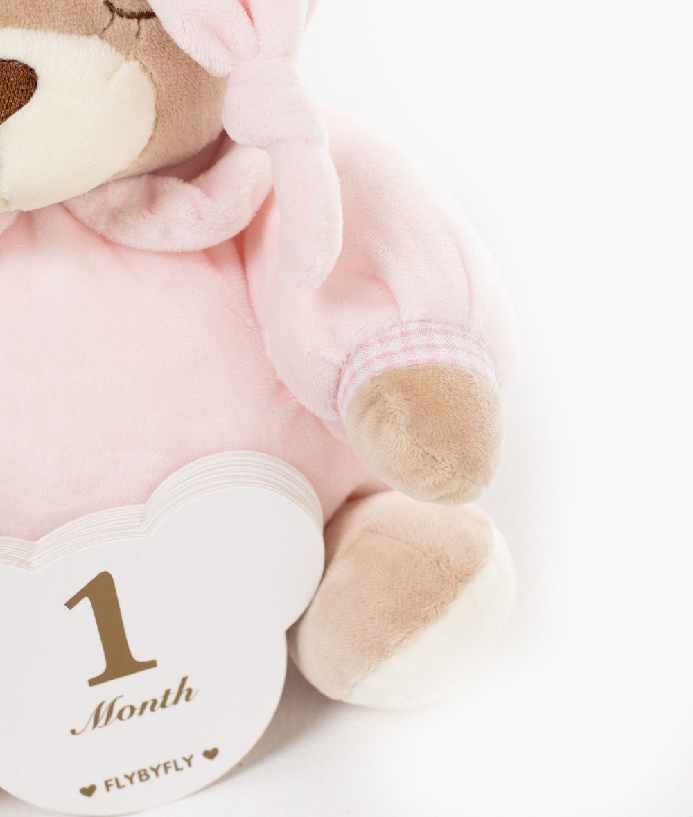 Baby milestone cards in pink