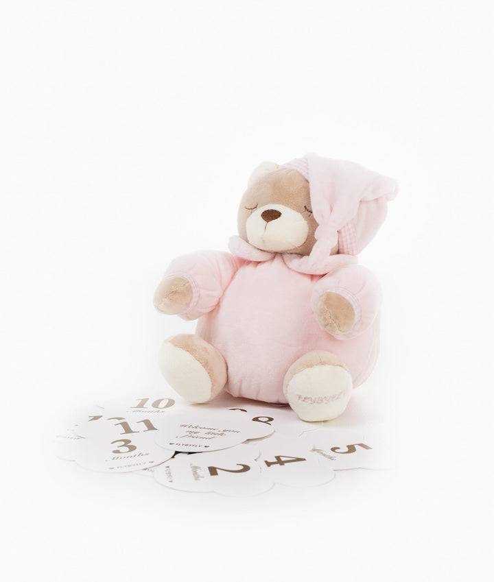 Baby milestone cards in pink