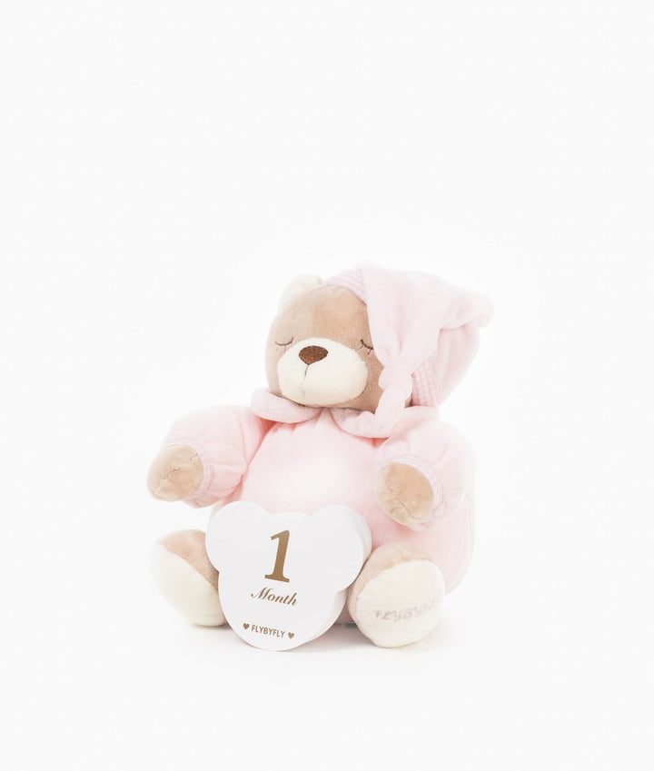 Baby milestone cards in pink