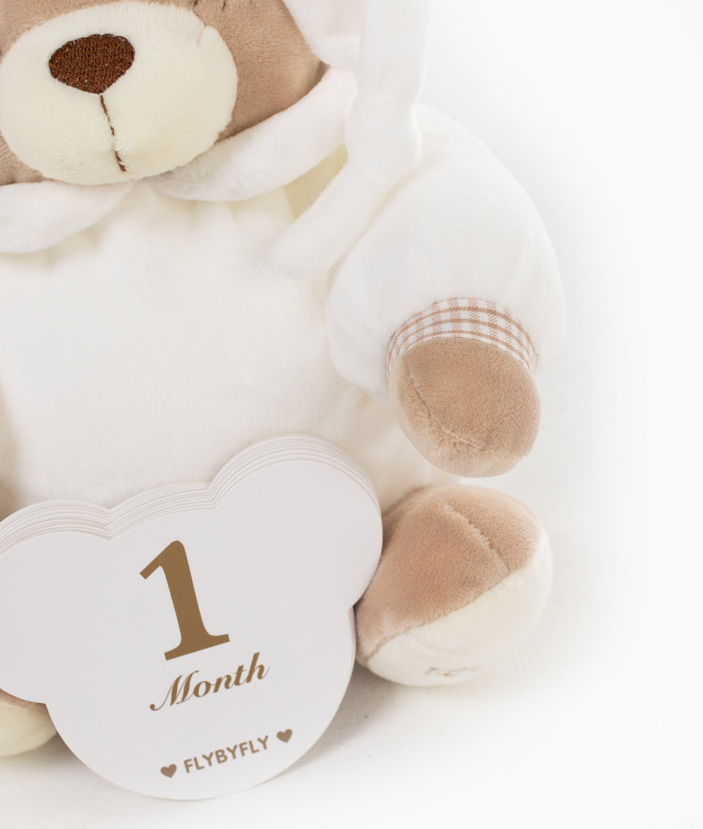 Neutral baby milestone cards for newborn photos