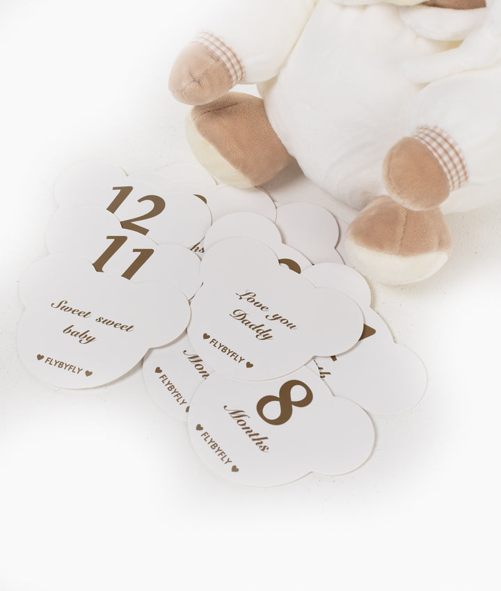 Neutral baby milestone cards for newborn photos