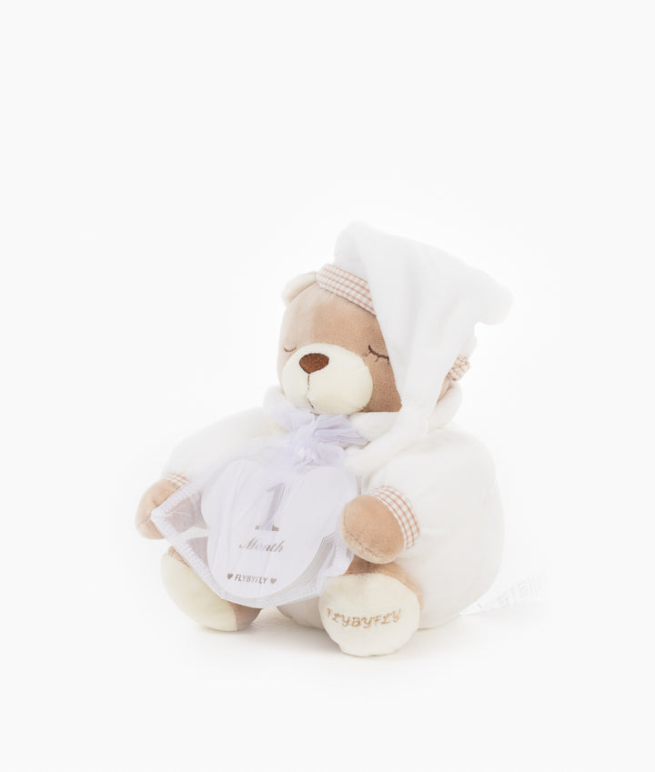 Neutral baby milestone cards for newborn photos